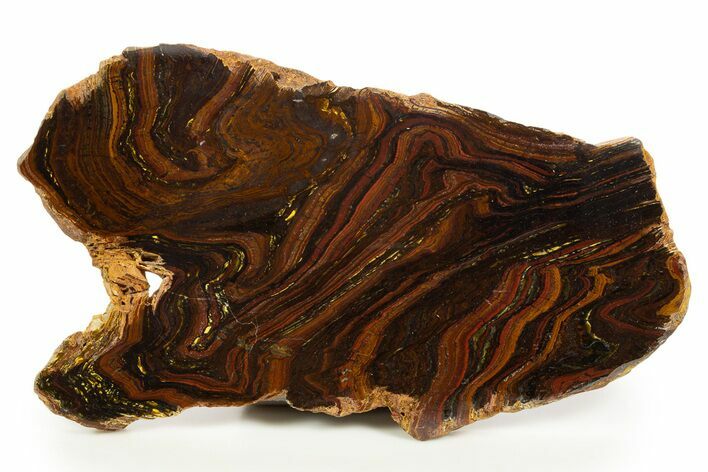 Polished Tiger Iron Stromatolite Slab - Billion Years #317240
